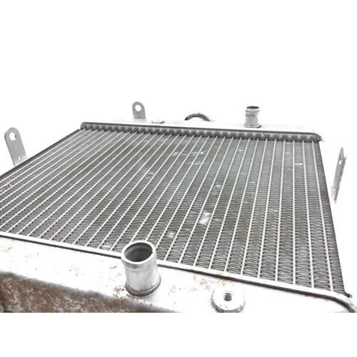 2002 Honda Rubicon TRX500FA Engine Radiator Cooling 2601A 16