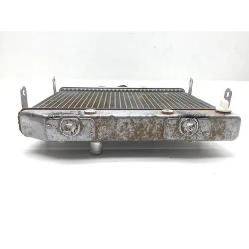 2002 Honda Rubicon TRX500FA Engine Radiator Cooling 2601A 5