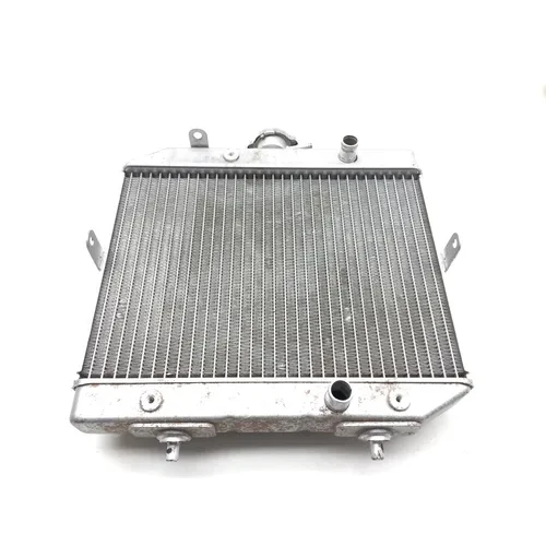 2002 Honda Rubicon TRX500FA Engine Radiator Cooling 2601A 15