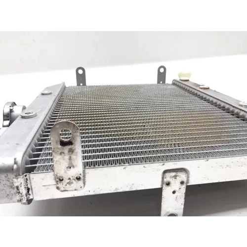 2002 Honda Rubicon TRX500FA Engine Radiator Cooling 2601A 13