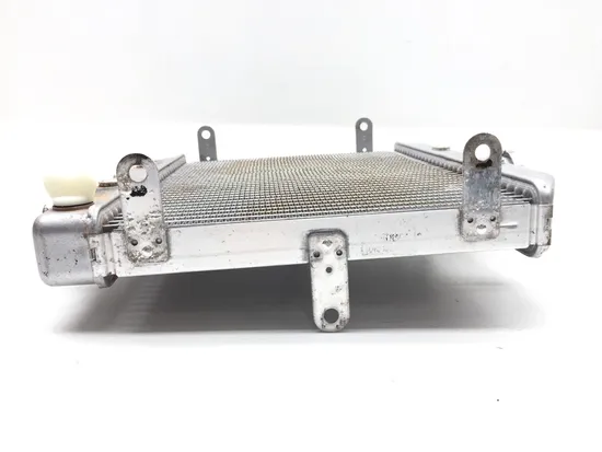 2002 Honda Rubicon TRX500FA Engine Radiator Cooling 2601A