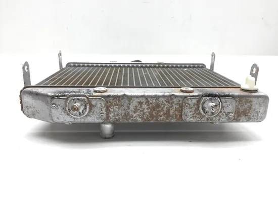 2002 Honda Rubicon TRX500FA Engine Radiator Cooling 2601A