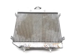 2002 Honda Rubicon TRX500FA Engine Radiator Cooling 2601A
