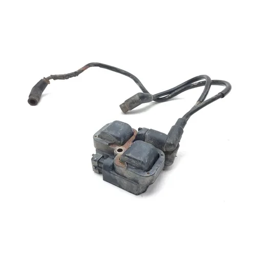 Ignition Coil 2014 Can-Am Renegade 1000 4x4 XXC EFI 2606 x 3