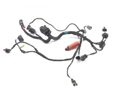 Dash Harness 2014 Can-Am Renegade 1000 4x4 XXC EFI 2606