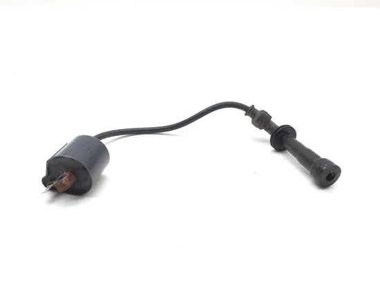 Ignition Coil 2011 Suzuki King Quad 750 LTA750X 4x4 AXi 2614