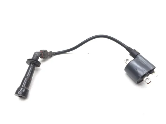Ignition Coil 2011 Suzuki King Quad 750 LTA750X 4x4 AXi 2614