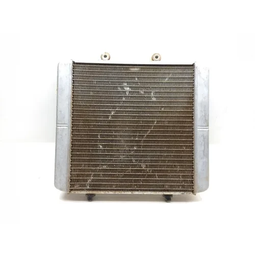 Engine Radiator Cooling 2006 Polaris Sportsman 500 4x4 HO EFI 2620A 3