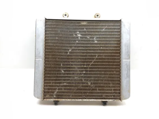 Engine Radiator Cooling 2006 Polaris Sportsman 500 4x4 HO EFI 2620A
