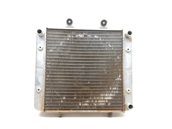 Engine Radiator Cooling 2006 Polaris Sportsman 500 4x4 HO EFI 2620A