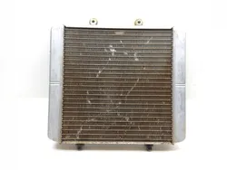 Engine Radiator Cooling 2006 Polaris Sportsman 500 4x4 HO EFI 2620A