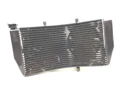 2002 Honda CBR954RR CBR 954RR Radiator Cooling Front Fluid with Fan 2611A