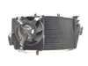2002 Honda CBR954RR CBR 954RR Radiator Cooling Front Fluid with Fan 2611A