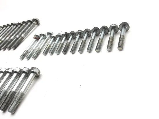 2002 Honda CBR954RR CBR 954RR Upper Lower Center Cases Case Bolts 2611A