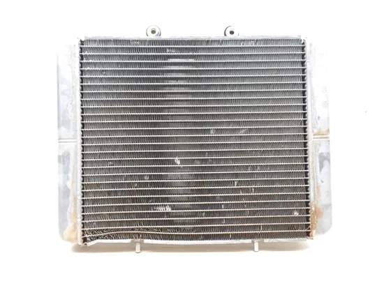 Engine Radiator Cooling 2009 Polaris RZR 800 EFI 2622A x