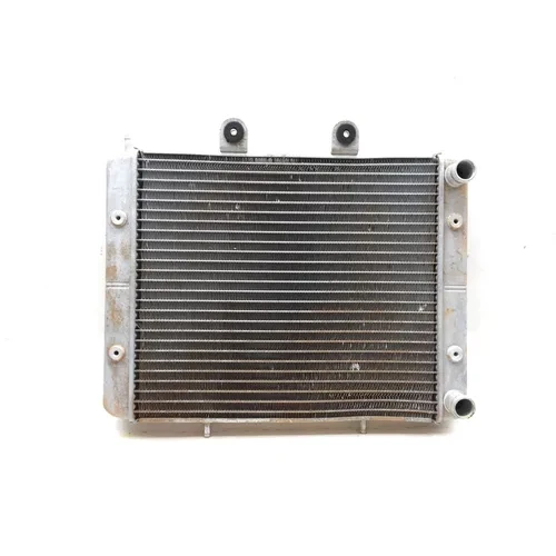 Engine Radiator Cooling 2009 Polaris RZR 800 EFI 2622A x 7