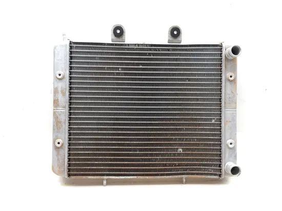 Engine Radiator Cooling 2009 Polaris RZR 800 EFI 2622A x
