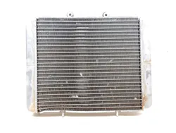 Engine Radiator Cooling 2009 Polaris RZR 800 EFI 2622A x