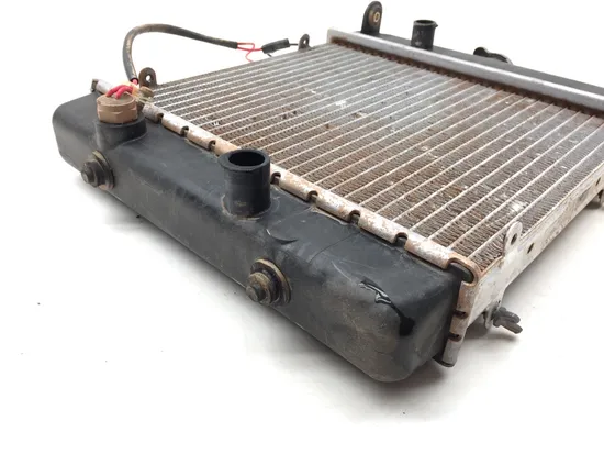 Engine Radiator Cooling 2003 Arctic Cat 500 4X4 2623 x