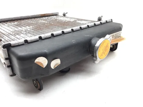 Engine Radiator Cooling 2003 Arctic Cat 500 4X4 2623 x