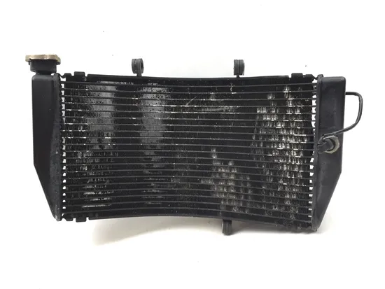 2000 Honda CBR929RR CBR 929RR Engine Radiator Cooling 2636A