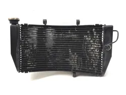 2000 Honda CBR929RR CBR 929RR Engine Radiator Cooling 2636A
