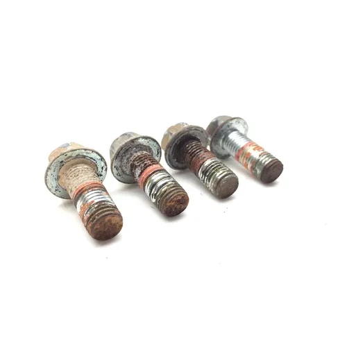 Footpeg Foot Peg Bolts 2007 Suzuki Quadracer 450 LTR450 2x4 2645A 5