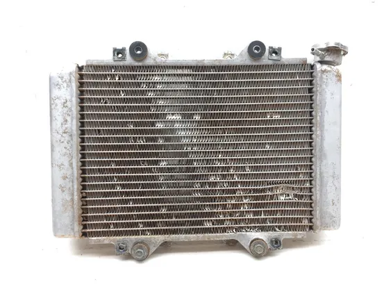 Engine Radiator Cooling 2008 Kawasaki KFX450R 2646