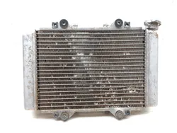 Engine Radiator Cooling 2008 Kawasaki KFX450R 2646