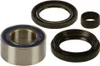 AB Front Wheel Bearing Kit Honda Foreman Rincon Rubicon