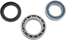 Moose Rear Wheel Axle Bearing Kit