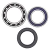 AB Rear Wheel Bearings Kit Yamaha Moto 4 Tri Moto Yamahauler