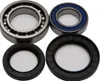 All Balls Rear Wheel Bearings Kit for Yamaha Kodiak 400 450