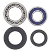All Balls Rear Wheel Bearing Kit for Yamaha ATV 250-600