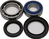All Balls Rear Wheel Bearings Kit for Yamaha Wolverine 350