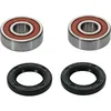 Pivot Works Premium Front Rear Wheel Bearing Kit for Suzuki Yamaha