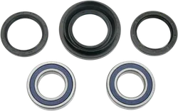 Moose Rear Wheel Axle Bearing Kit