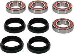 Pivot Works Premium Rear Wheel Bearings Kit for Honda Sportrax 90