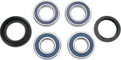 Moose Rear Wheel Axle Bearing Kit