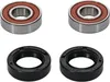 Pivot Works Premium Rear Wheel Bearing Kit for Honda Foreman Rubicon Rancher