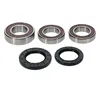 Pivot Works Complete Wheel Bearing Rebuild Kit