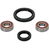 Pivot Works Premium Front Wheel Bearing Kit for Suzuki DR350-650 DRZ250 RMX250