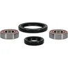 Pivot Works Premium Front Wheel Bearing Kit for Suzuki DR350-650 DRZ250 RMX250