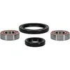 Pivot Works Premium Front Wheel Bearing Kit for Suzuki DR350-650 DRZ250 RMX250