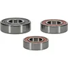 Pivot Works Premium Rear Wheel Bearing Kit for Kawasaki KLR650 W800