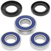 All Balls Rear Wheel Bearing Kit for Suzuki DR250-350 DRZ250