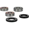 Pivot Works Rear Premium Wheel Bearing Kit