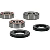 Pivot Works Rear Premium Wheel Bearing Kit