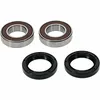 Pivot Works Premium Front Wheel Bearing Kit for Honda KTM Motorcycle 125-625