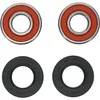 Pivot Works Front Premium Wheel Bearing Kit